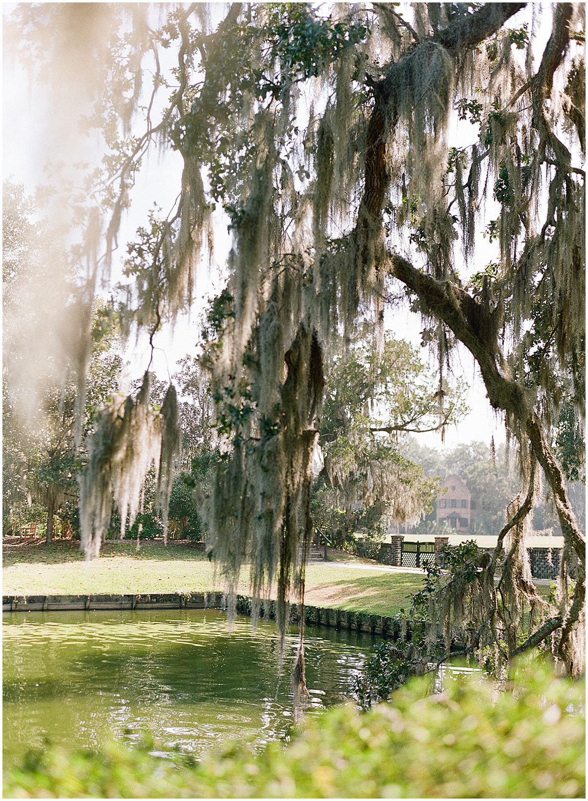 Tree With Spanish Moss Reflection Pool and Main House in Background at Middleton Place Photo