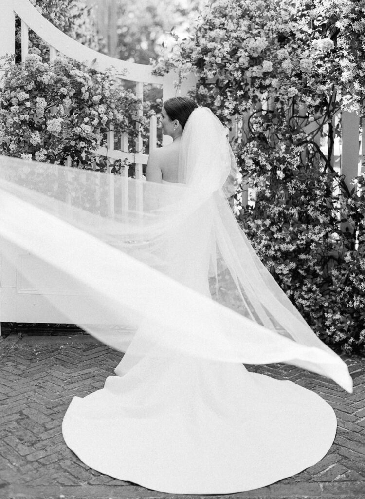 black and white of bride's veil blowing photo
