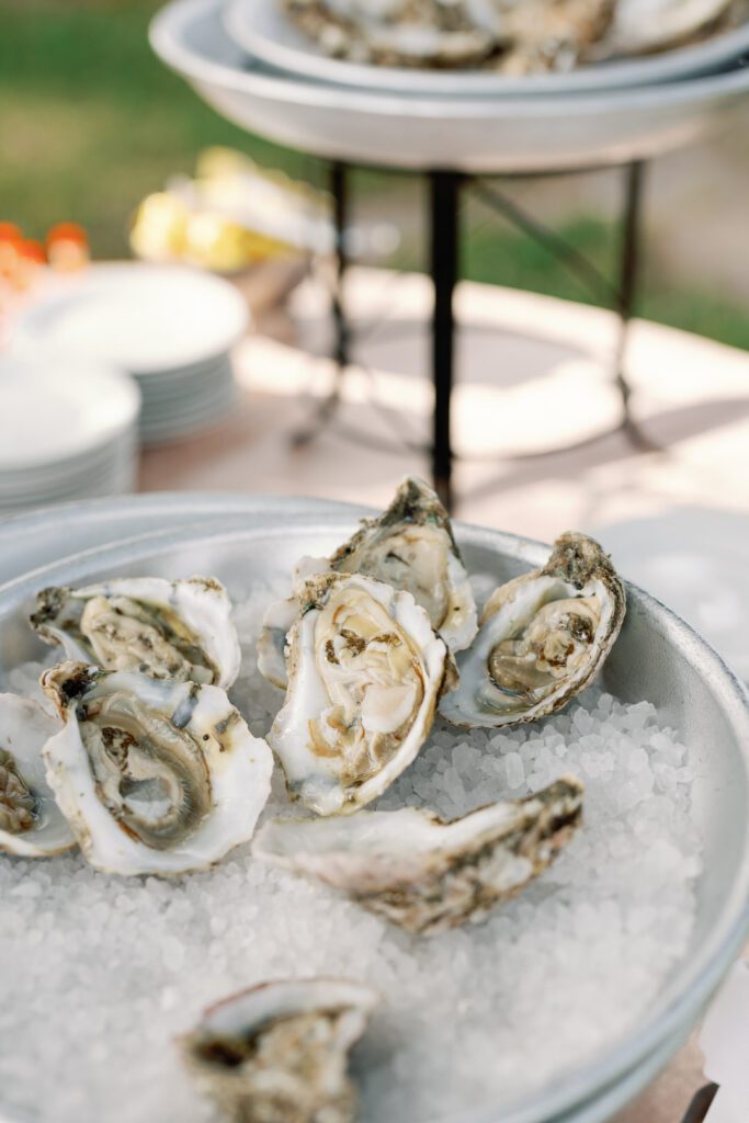 Oysters on ice