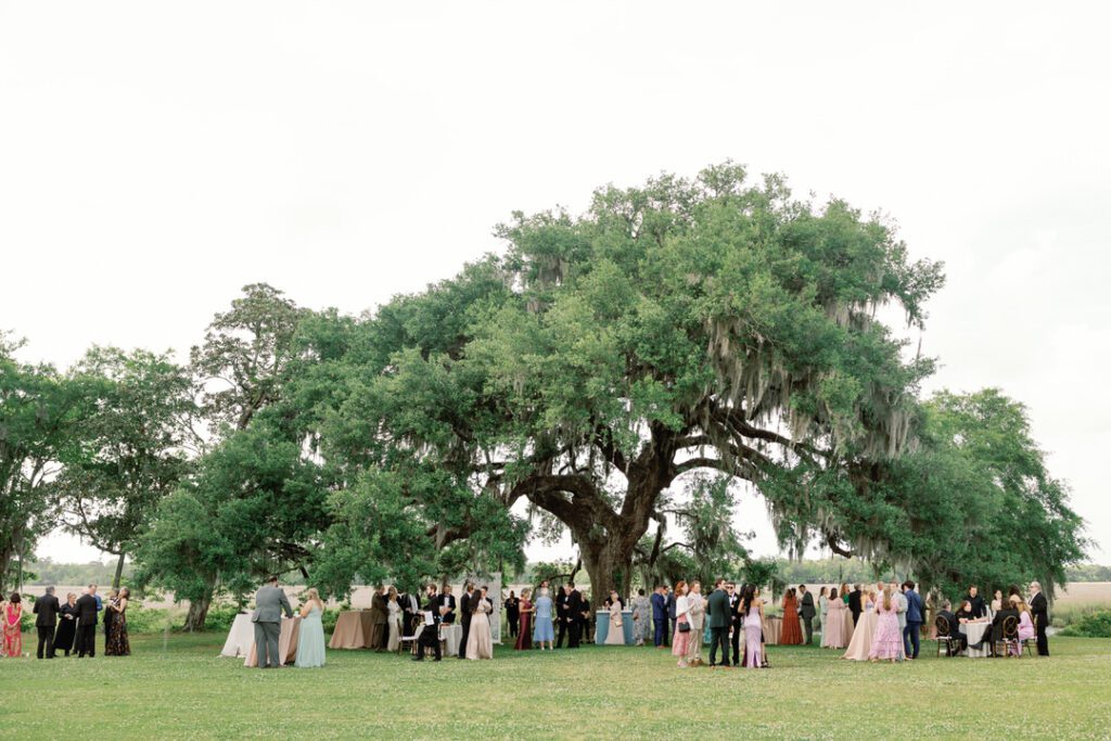 Wedding Cocktail Hour under live oak at Runnymede Charleston, SC