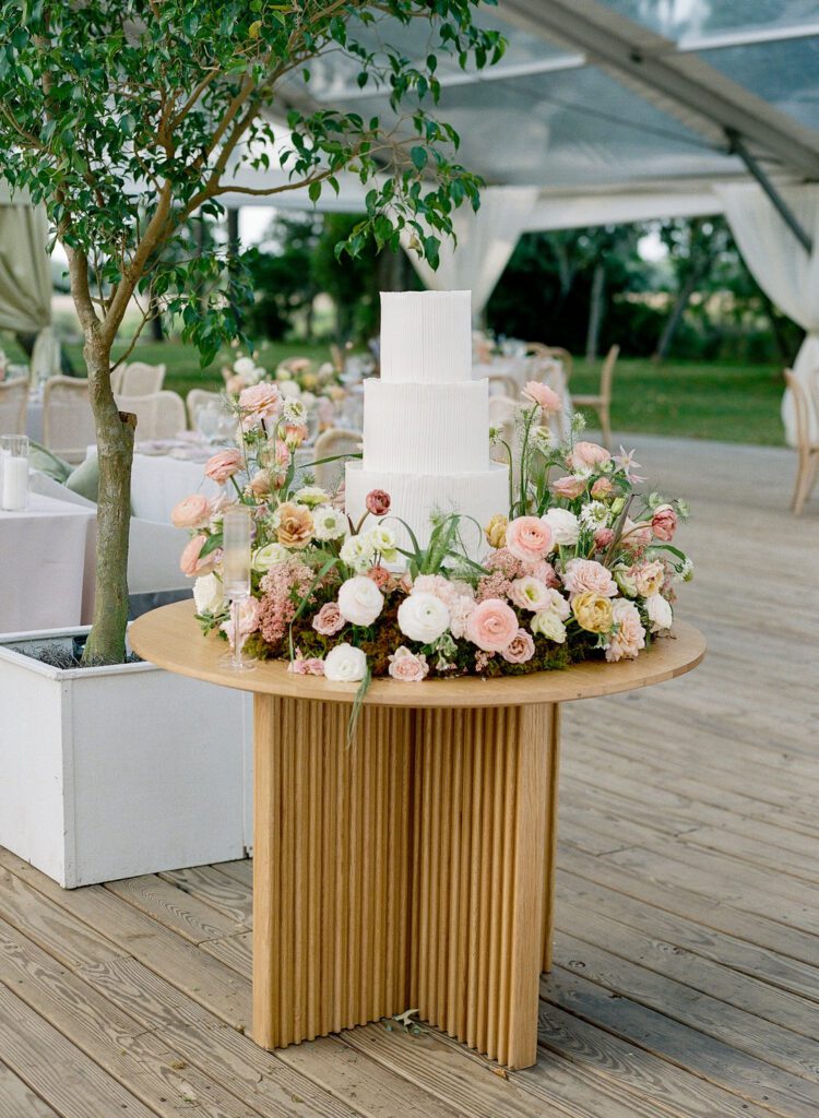 Wedding Cake for wedding in Runnymede, Charleston