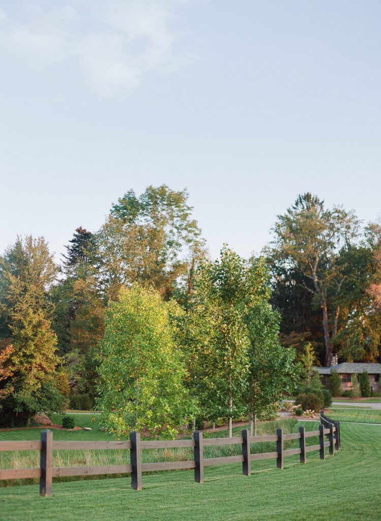 Trees and Fence at High Hampton Resort