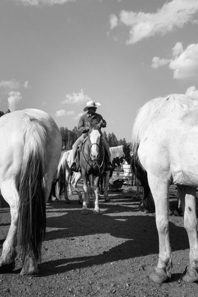 black and white of cowboy with horses