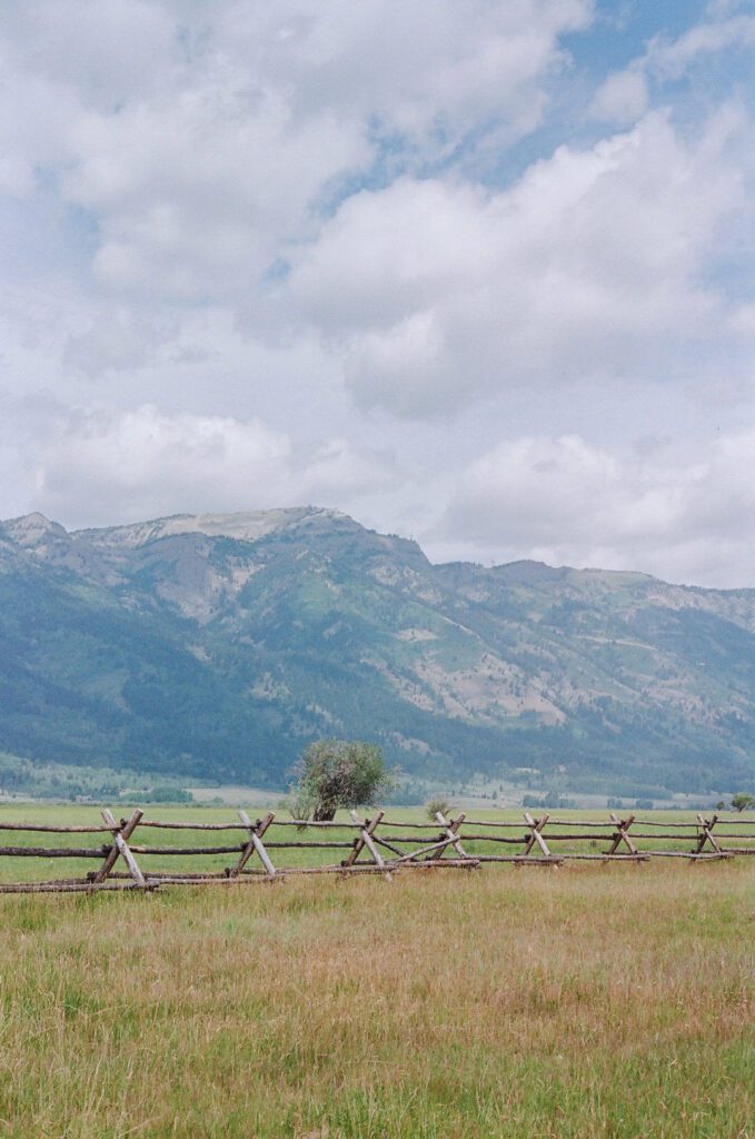 Mountains and field with fence