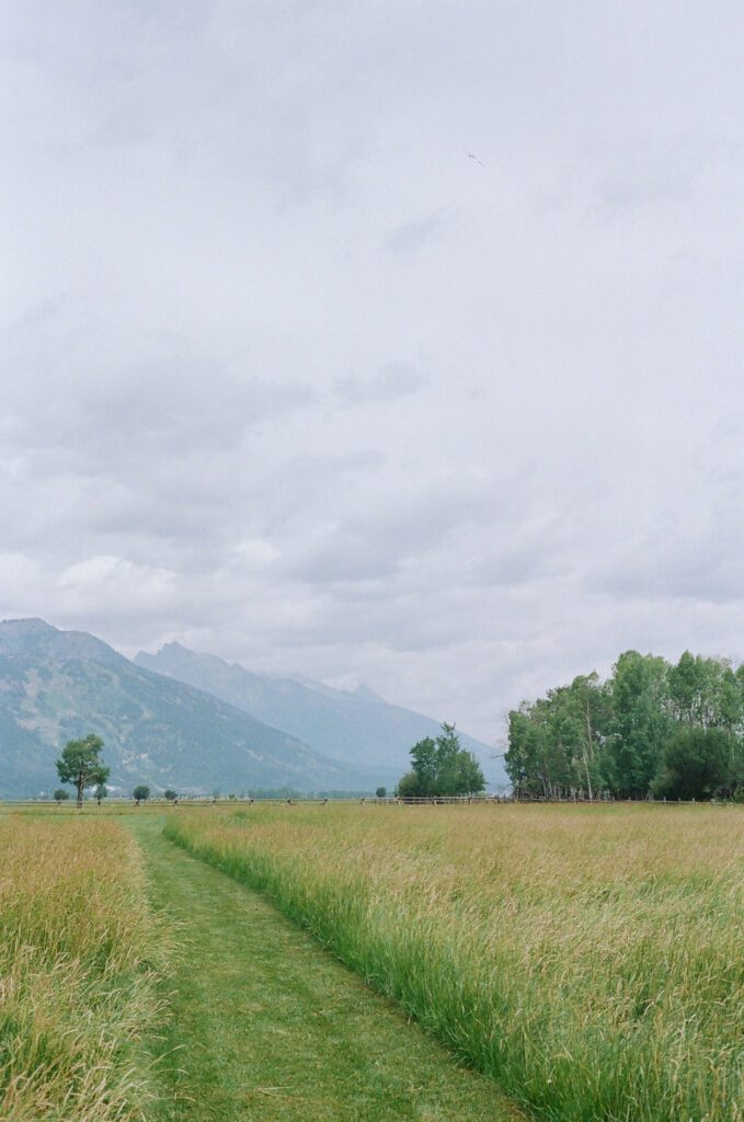 Mountains and fields