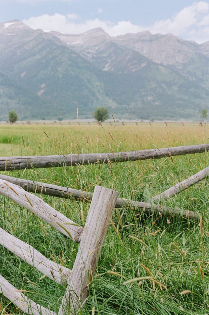 Mountains and Fence