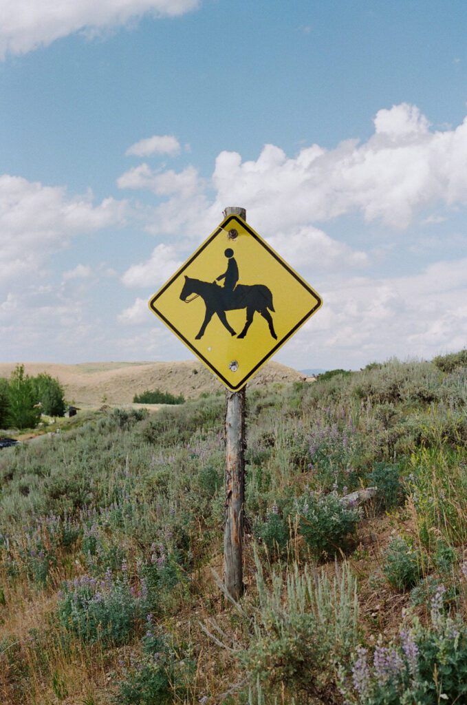 Horse crossing sign