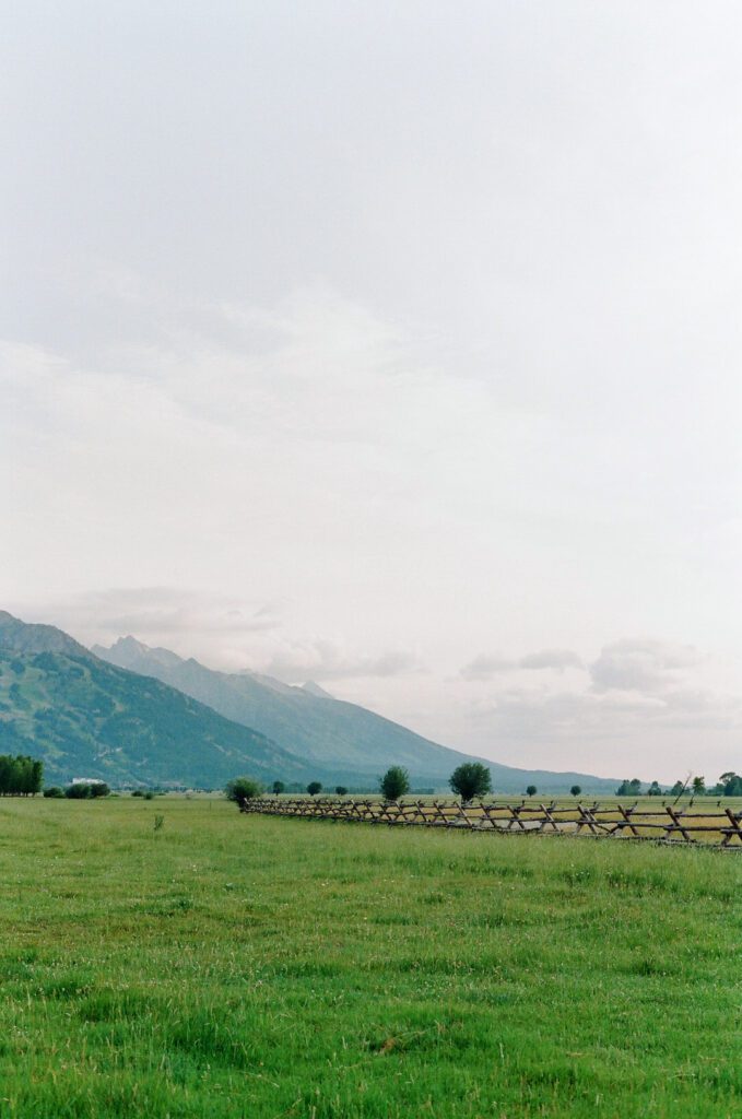 Mountains and Fence Line