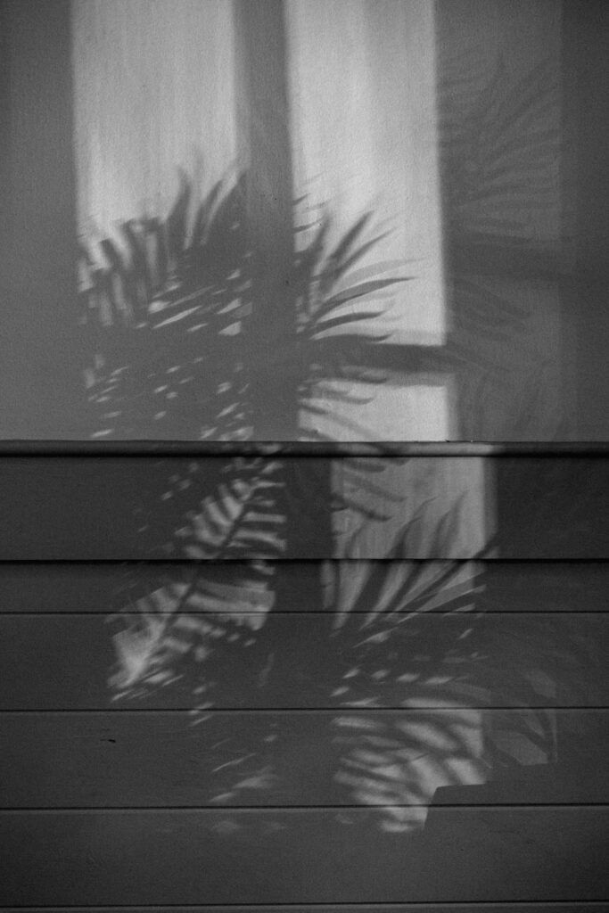 black and white of shadow on wall