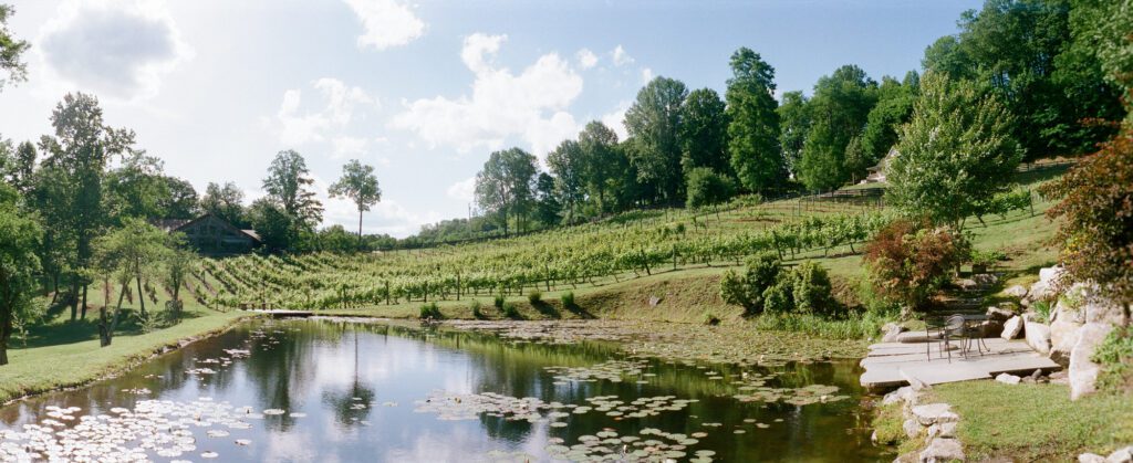 The Vineyard at High Holly a Highlands NC Wedding Venue
